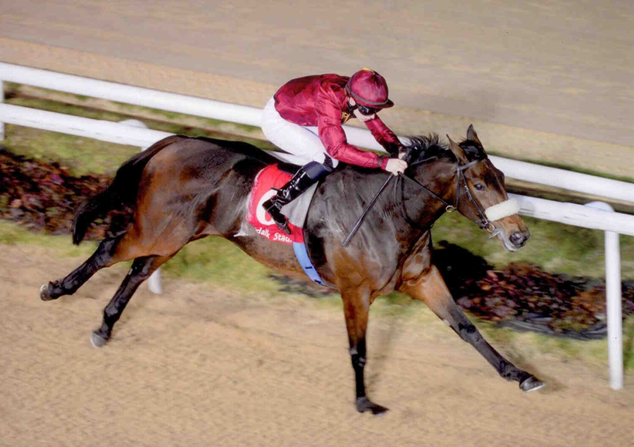 Harmonic Note Dundalk 11th Oct 2013